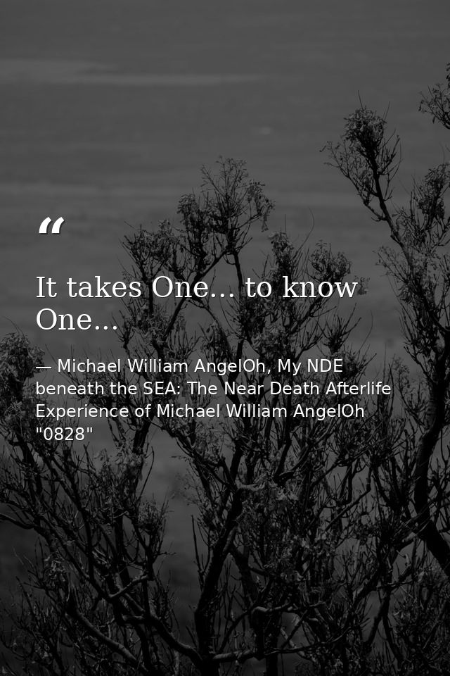 It takes One... to know One... — Michael William AngelOh, My NDE beneath the SEA: The Near Death Afterlife Experience of Michael William AngelOh "0828"