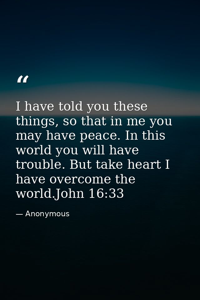 I have told you these things, so that in me you may have peace. In this world you will have trouble. But take heart I ha — Anonymous