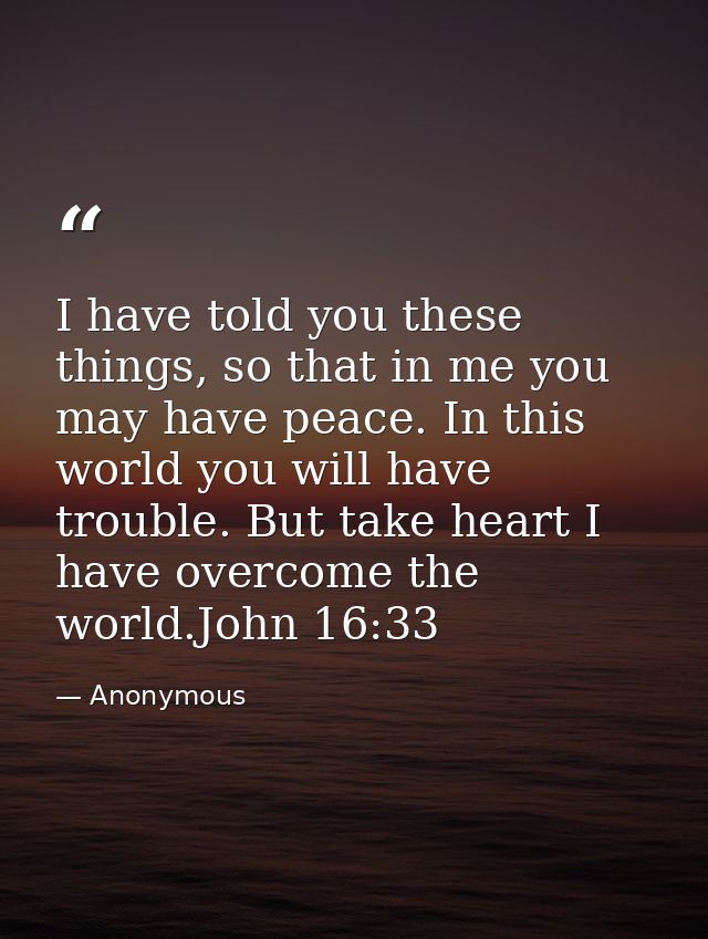 I have told you these things, so that in me you may have peace. In this world you will have trouble. But take heart I ha — Anonymous