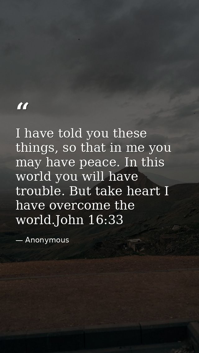 I have told you these things, so that in me you may have peace. In this world you will have trouble. But take heart I ha — Anonymous