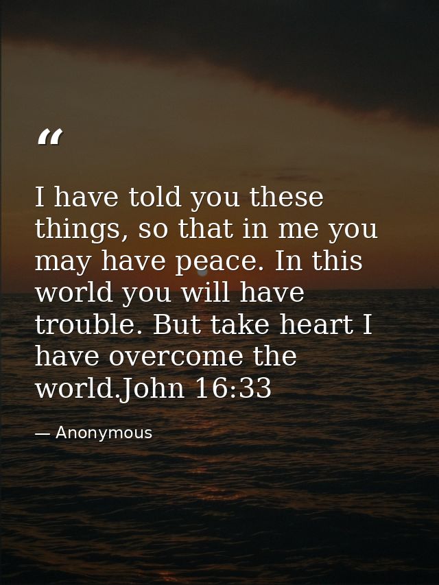 I have told you these things, so that in me you may have peace. In this world you will have trouble. But take heart I ha — Anonymous