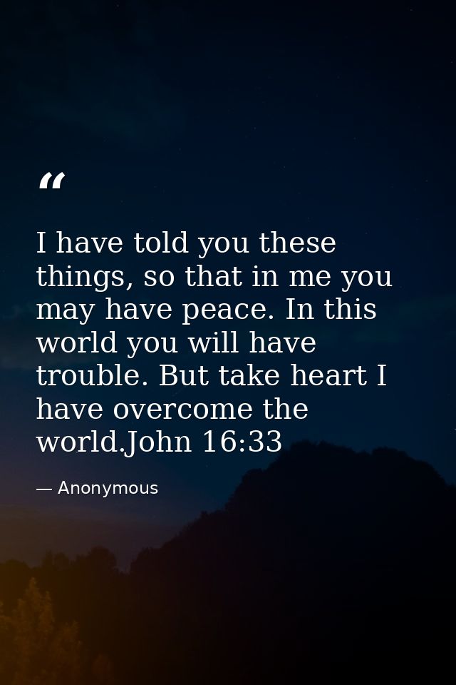 I have told you these things, so that in me you may have peace. In this world you will have trouble. But take heart I ha — Anonymous