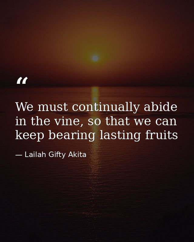 We must continually abide in the vine, so that we can keep bearing lasting fruits — Lailah Gifty Akita