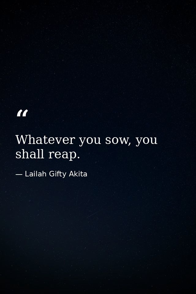 Whatever you sow, you shall reap. — Lailah Gifty Akita