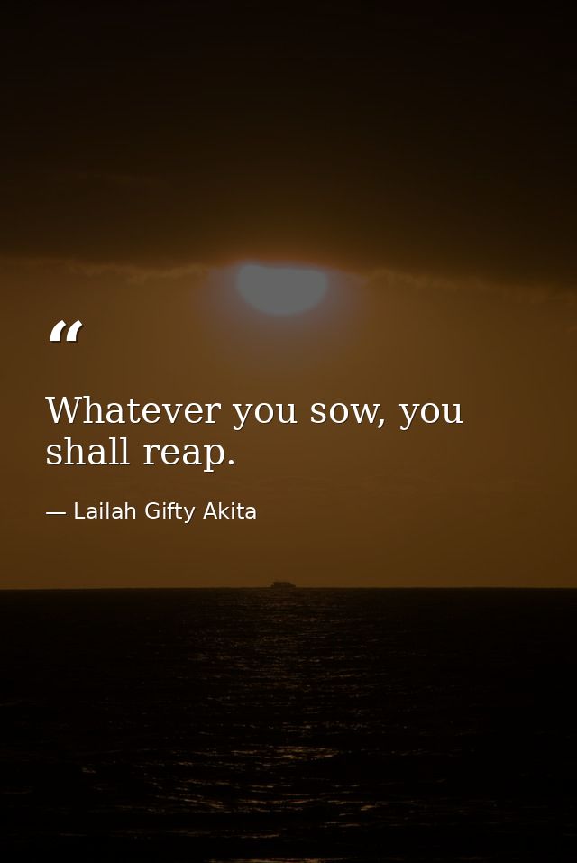 Whatever you sow, you shall reap. — Lailah Gifty Akita