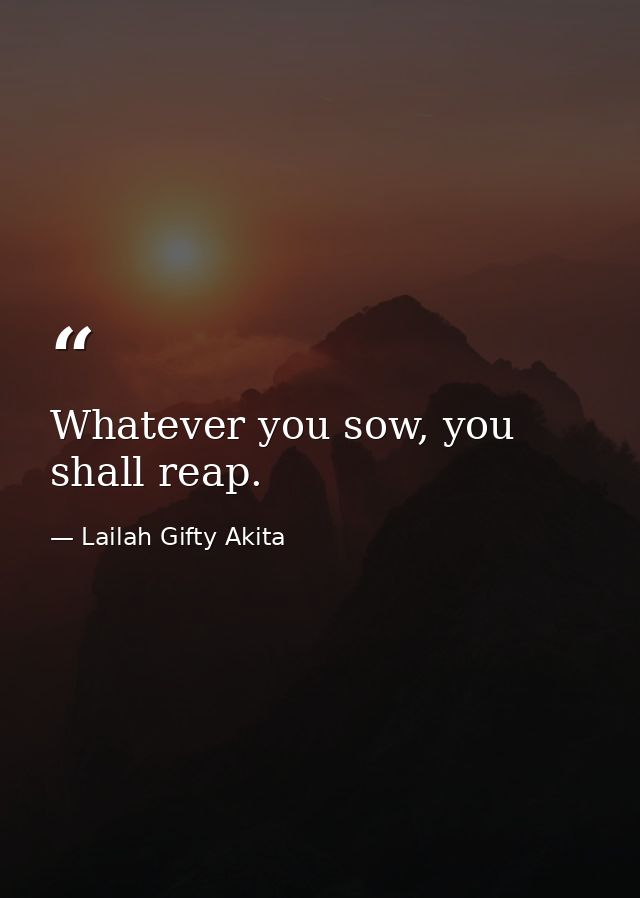Whatever you sow, you shall reap. — Lailah Gifty Akita