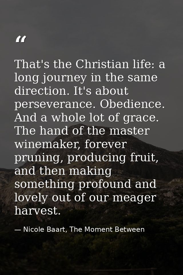 That's the Christian life: a long journey in the same direction. It's about perseverance. Obedience. And a whole lot of  — Nicole Baart, The Moment Between