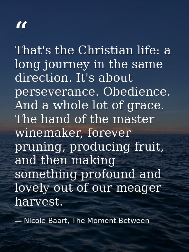 That's the Christian life: a long journey in the same direction. It's about perseverance. Obedience. And a whole lot of  — Nicole Baart, The Moment Between