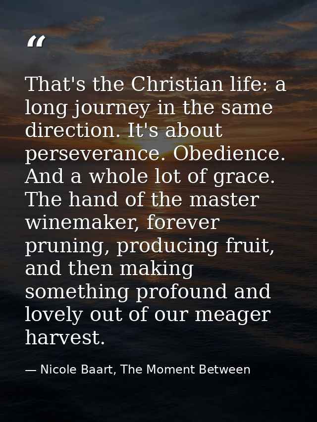 That's the Christian life: a long journey in the same direction. It's about perseverance. Obedience. And a whole lot of  — Nicole Baart, The Moment Between