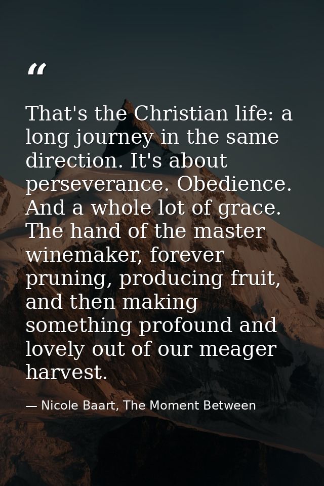 That's the Christian life: a long journey in the same direction. It's about perseverance. Obedience. And a whole lot of  — Nicole Baart, The Moment Between