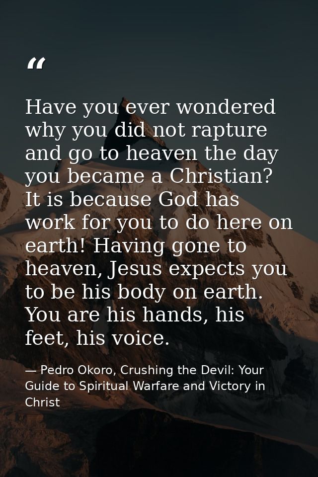 Have you ever wondered why you did not rapture and go to heaven the day you became a Christian? It is because God has wo — Pedro Okoro, Crushing the Devil: Your Guide to Spiritual Warfare and Victory in Christ