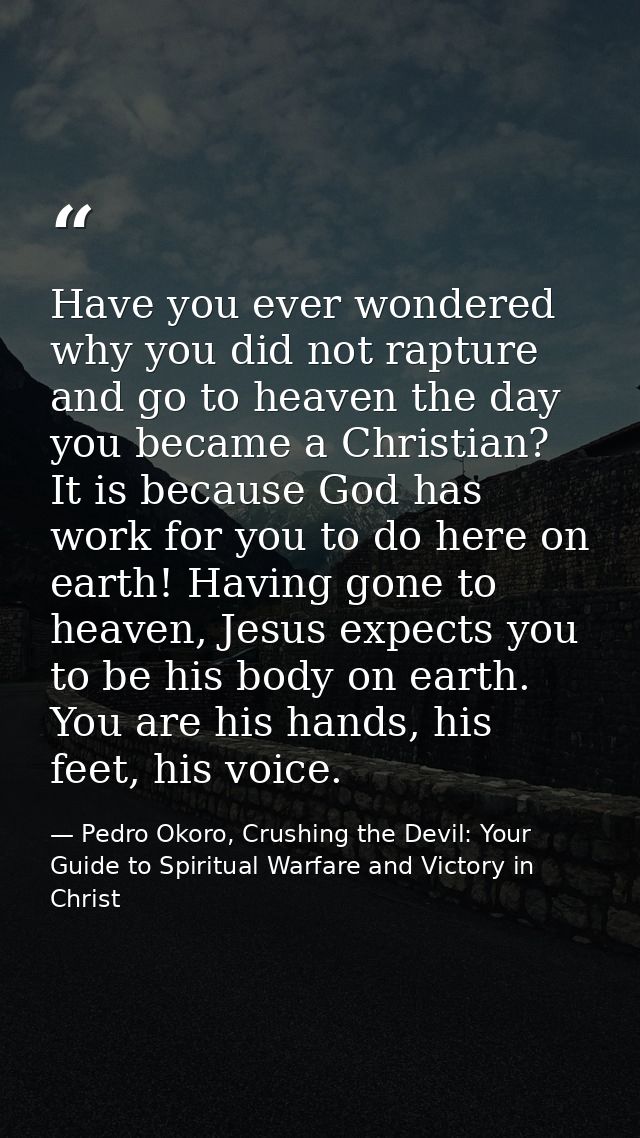 Have you ever wondered why you did not rapture and go to heaven the day you became a Christian? It is because God has wo — Pedro Okoro, Crushing the Devil: Your Guide to Spiritual Warfare and Victory in Christ