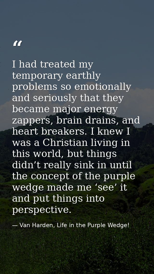 I had treated my temporary earthly problems so emotionally and seriously that they became major energy zappers, brain dr — Van Harden, Life in the Purple Wedge!