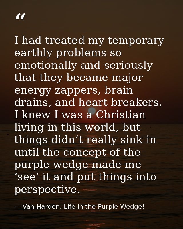 I had treated my temporary earthly problems so emotionally and seriously that they became major energy zappers, brain dr — Van Harden, Life in the Purple Wedge!