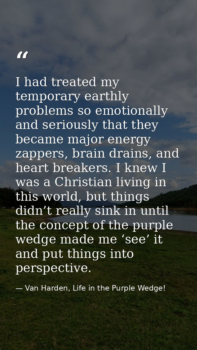I had treated my temporary earthly problems so emotionally and seriously that they became major energy zappers, brain dr — Van Harden, Life in the Purple Wedge!