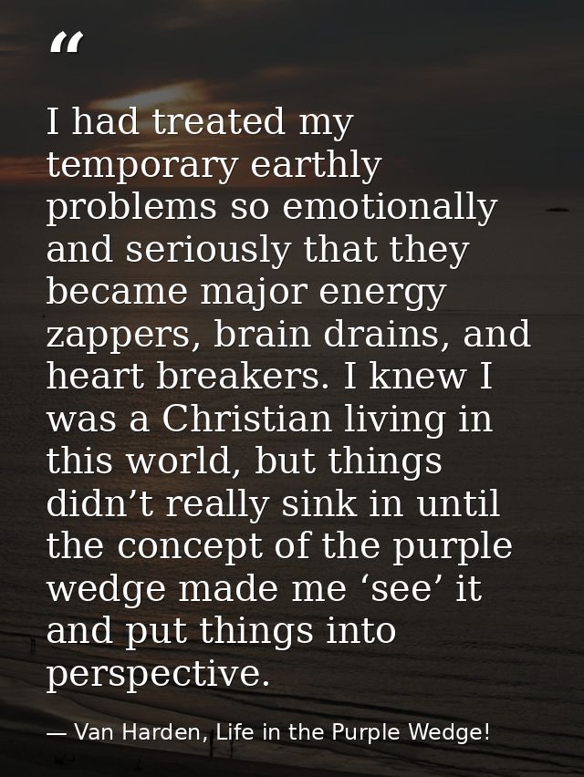 I had treated my temporary earthly problems so emotionally and seriously that they became major energy zappers, brain dr — Van Harden, Life in the Purple Wedge!