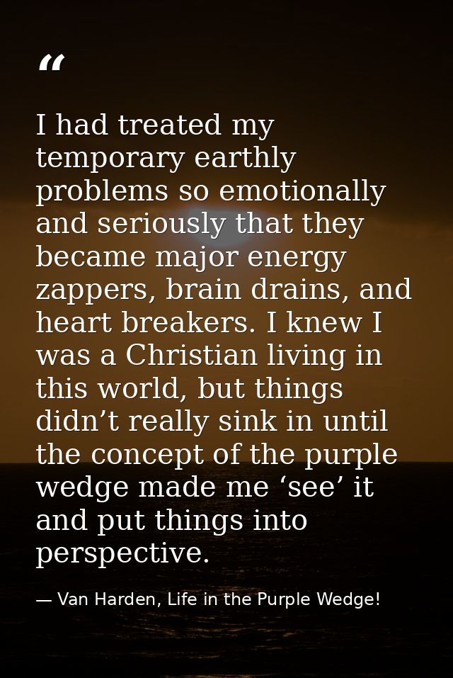 I had treated my temporary earthly problems so emotionally and seriously that they became major energy zappers, brain dr — Van Harden, Life in the Purple Wedge!