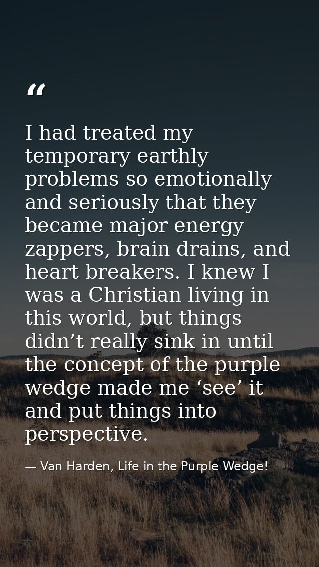 I had treated my temporary earthly problems so emotionally and seriously that they became major energy zappers, brain dr — Van Harden, Life in the Purple Wedge!