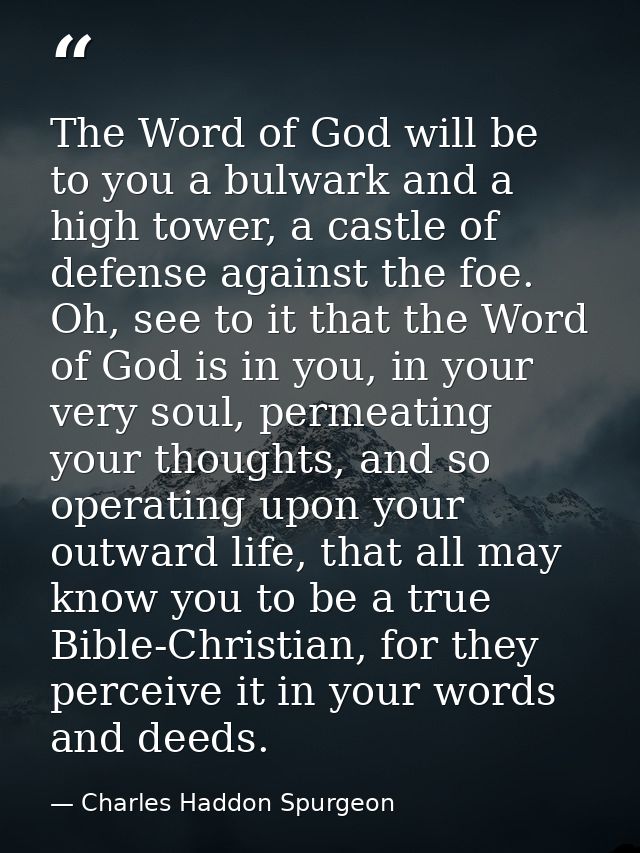The Word of God will be to you a bulwark and a high tower, a castle of defense against the foe. Oh, see to it that the W — Charles Haddon Spurgeon