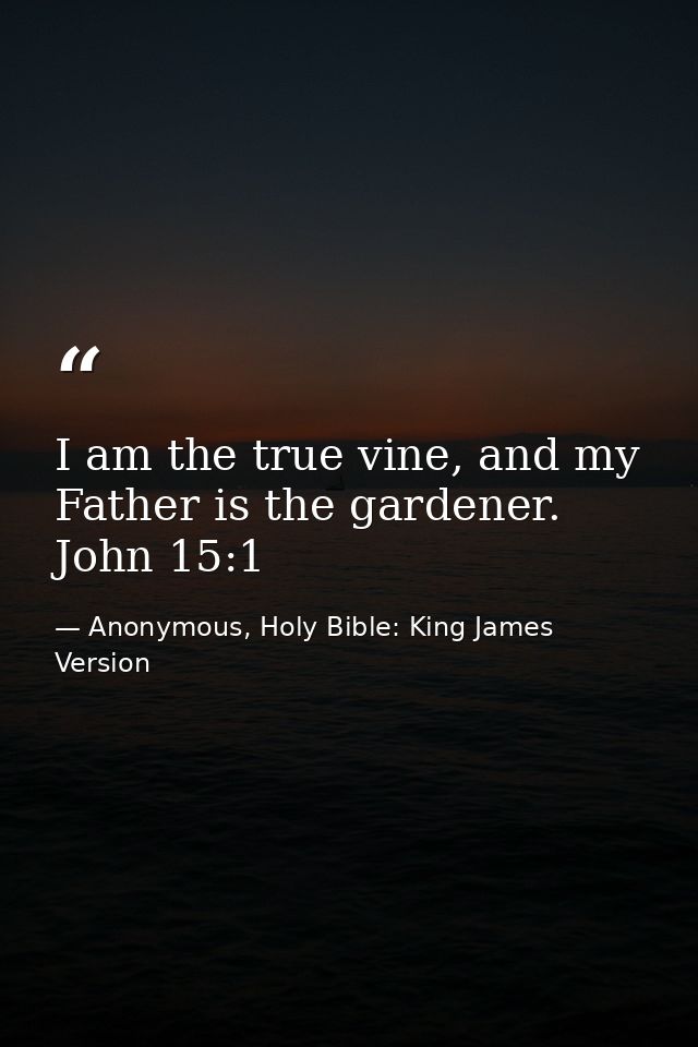 I am the true vine, and my Father is the gardener. John 15:1 — Anonymous, Holy Bible: King James Version