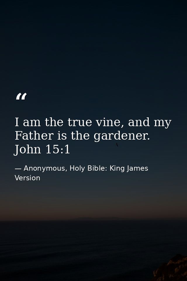 I am the true vine, and my Father is the gardener. John 15:1 — Anonymous, Holy Bible: King James Version