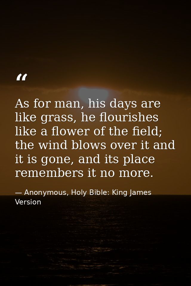 As for man, his days are like grass, he flourishes like a flower of the field; the wind blows over it and it is gone, an — Anonymous, Holy Bible: King James Version