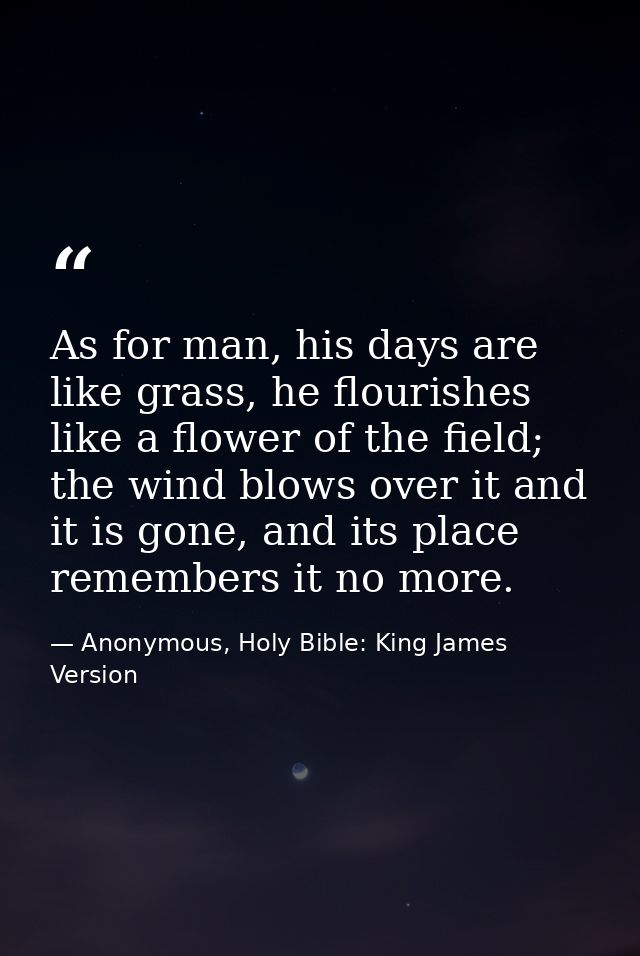 As for man, his days are like grass, he flourishes like a flower of the field; the wind blows over it and it is gone, an — Anonymous, Holy Bible: King James Version