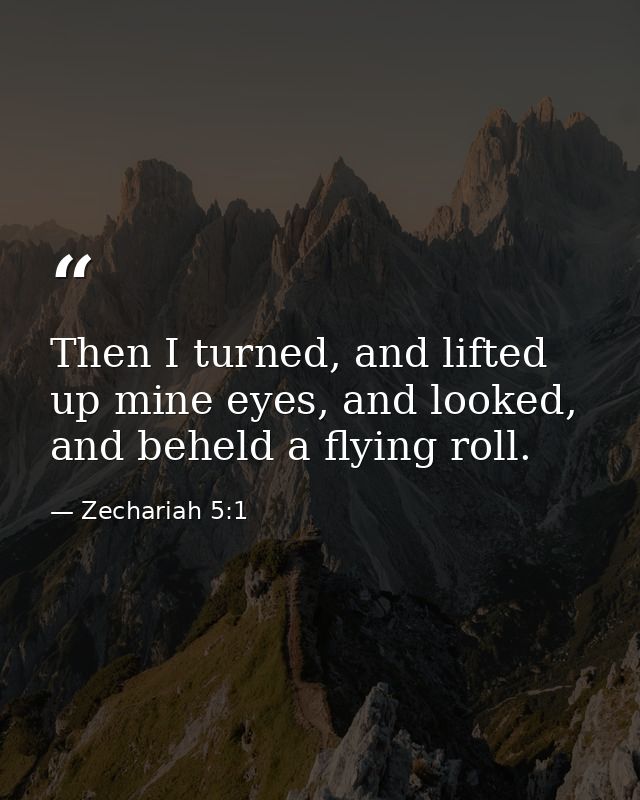 Then I turned, and lifted up mine eyes, and looked, and beheld a flying roll. — Zechariah 5:1