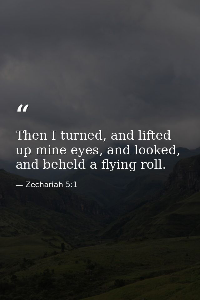 Then I turned, and lifted up mine eyes, and looked, and beheld a flying roll. — Zechariah 5:1