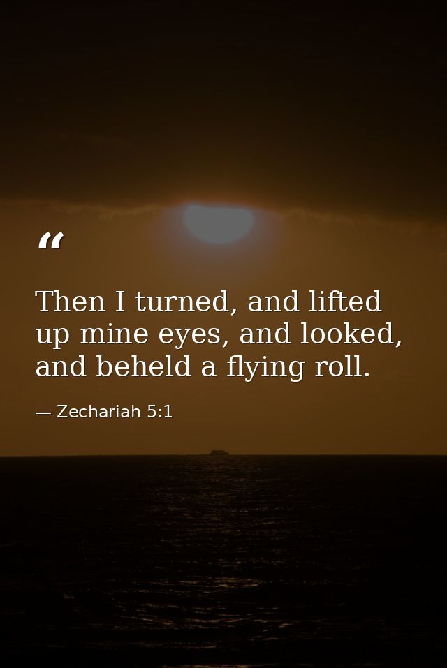 Then I turned, and lifted up mine eyes, and looked, and beheld a flying roll. — Zechariah 5:1