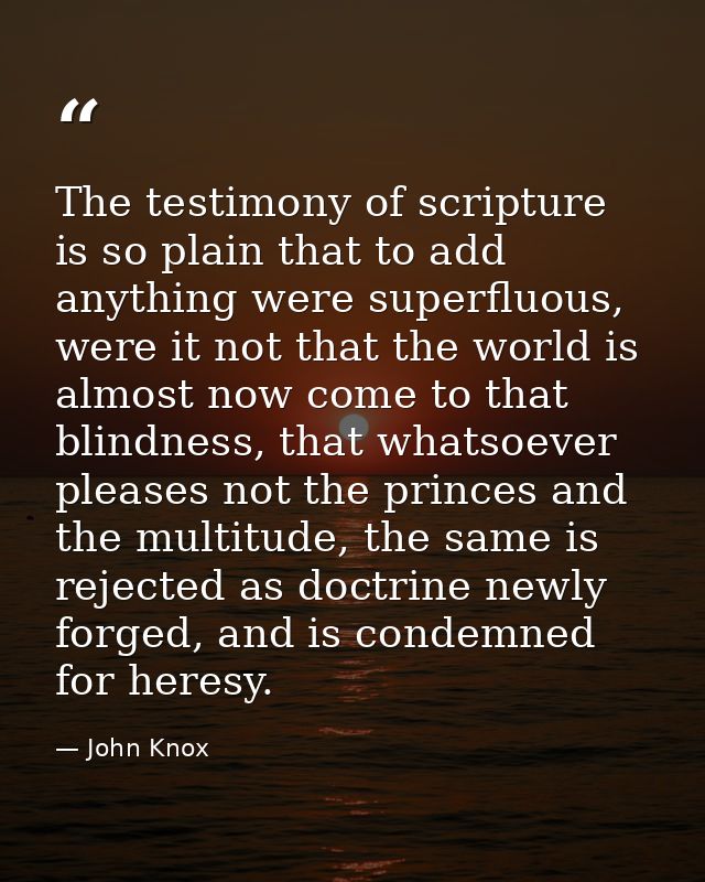 The testimony of scripture is so plain that to add anything were superfluous, were it not that the world is almost now c — John Knox