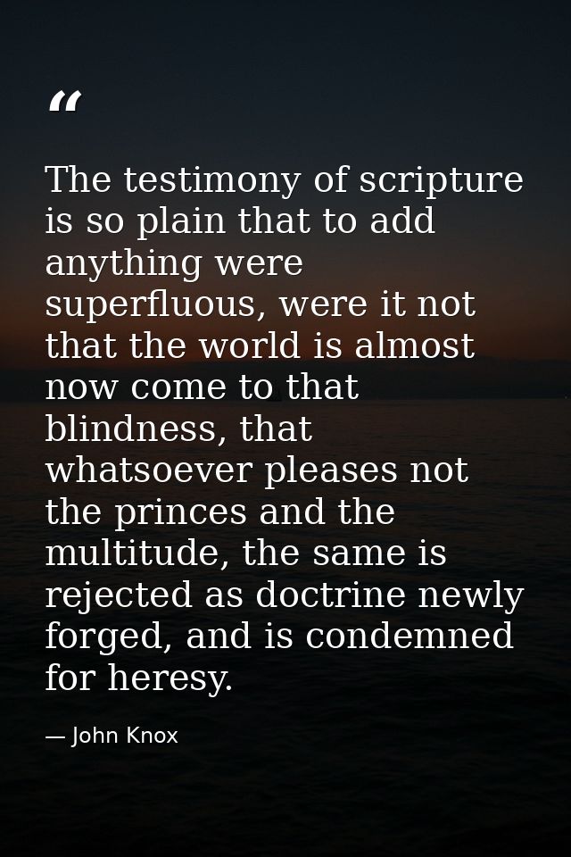 The testimony of scripture is so plain that to add anything were superfluous, were it not that the world is almost now c — John Knox