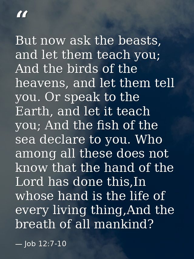 But now ask the beasts, and let them teach you; And the birds of the heavens, and let them tell you. Or speak to the Ear — Job 12:7-10
