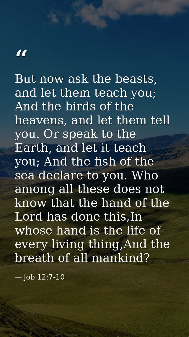 But now ask the beasts, and let them teach you; And the birds of the heavens, and let them tell you. Or speak to the Ear — Job 12:7-10