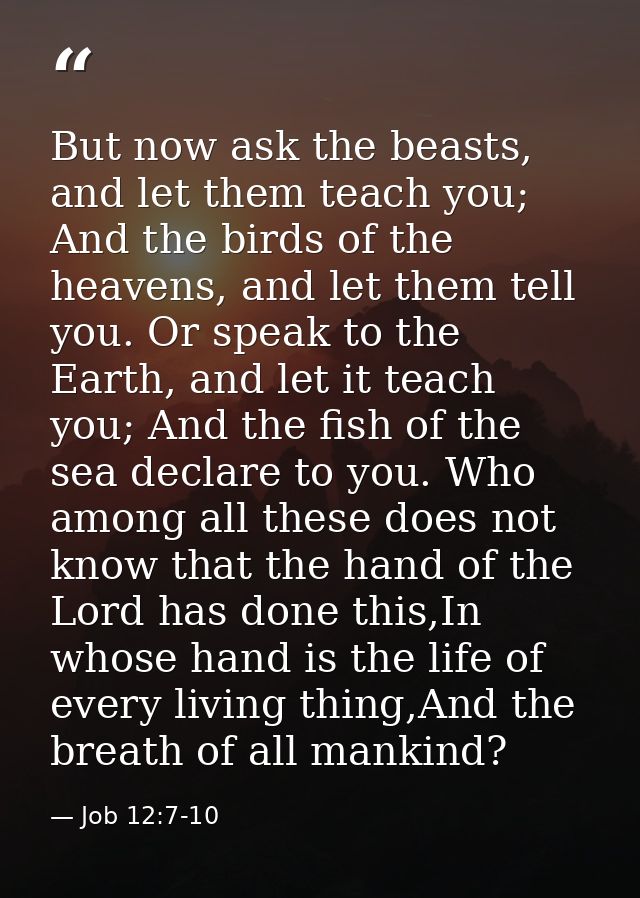 But now ask the beasts, and let them teach you; And the birds of the heavens, and let them tell you. Or speak to the Ear — Job 12:7-10