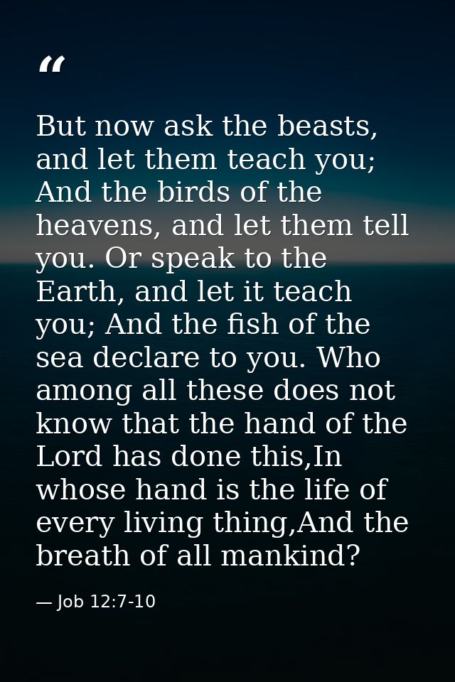 But now ask the beasts, and let them teach you; And the birds of the heavens, and let them tell you. Or speak to the Ear — Job 12:7-10