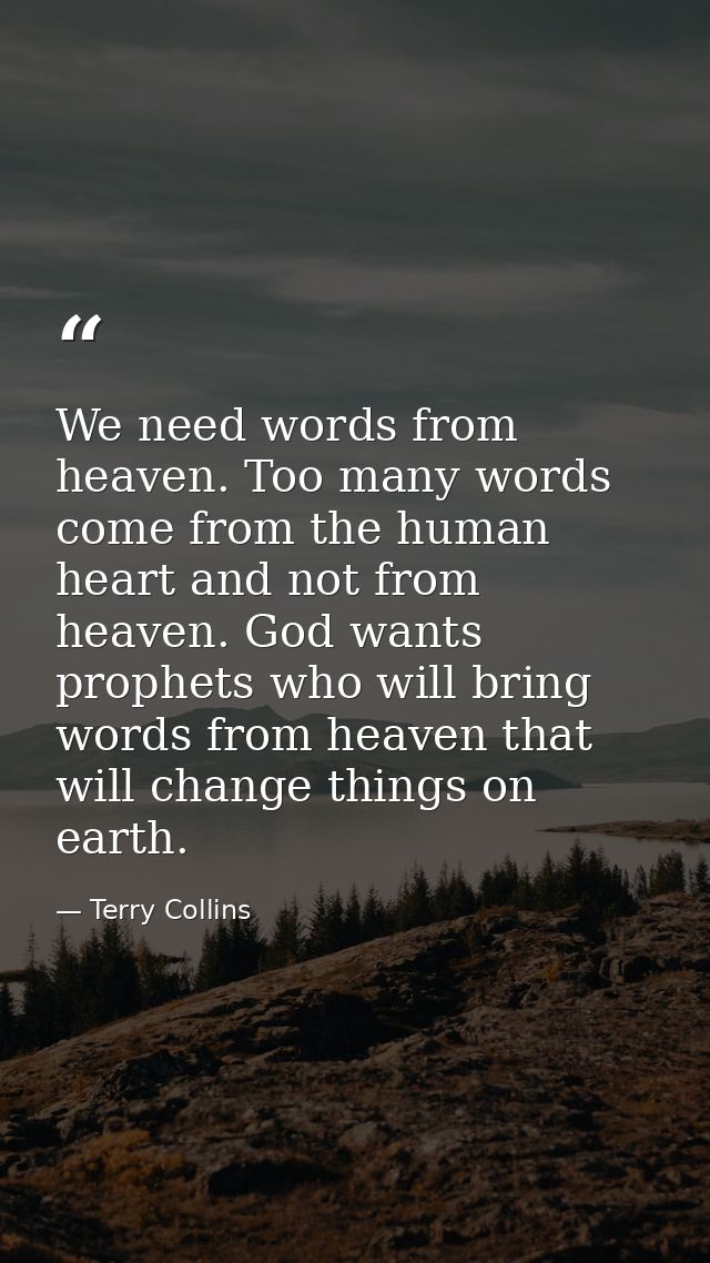 We need words from heaven. Too many words come from the human heart and not from heaven. God wants prophets who will bri — Terry Collins
