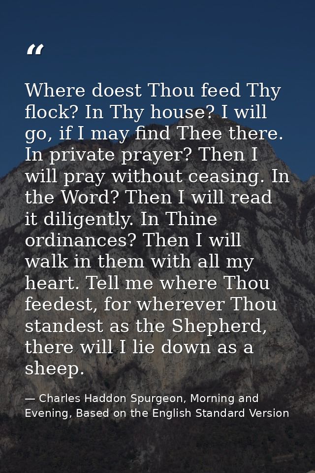 Where doest Thou feed Thy flock? In Thy house? I will go, if I may find Thee there. In private prayer? Then I will pray  — Charles Haddon Spurgeon, Morning and Evening, Based on the English Standard Version
