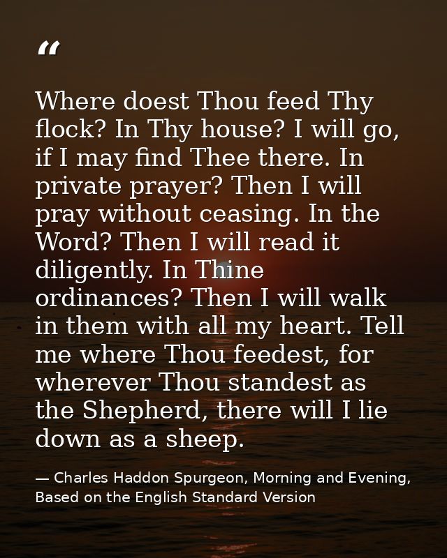 Where doest Thou feed Thy flock? In Thy house? I will go, if I may find Thee there. In private prayer? Then I will pray  — Charles Haddon Spurgeon, Morning and Evening, Based on the English Standard Version
