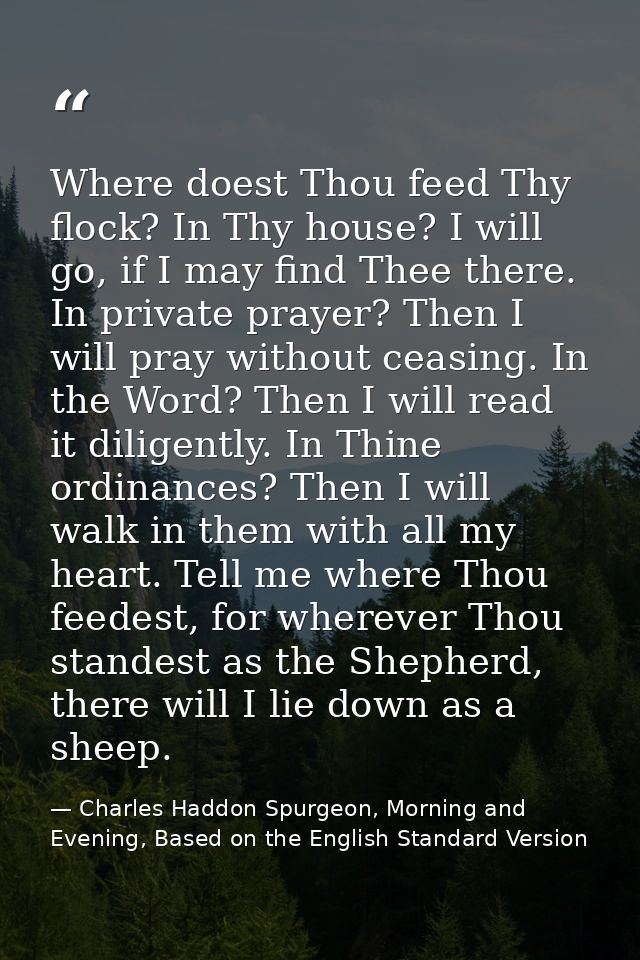 Where doest Thou feed Thy flock? In Thy house? I will go, if I may find Thee there. In private prayer? Then I will pray  — Charles Haddon Spurgeon, Morning and Evening, Based on the English Standard Version