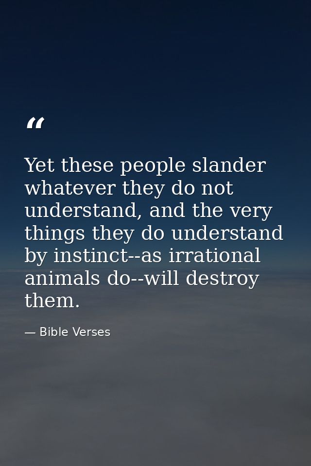 Yet these people slander whatever they do not understand, and the very things they do understand by instinct--as irratio — Bible Verses