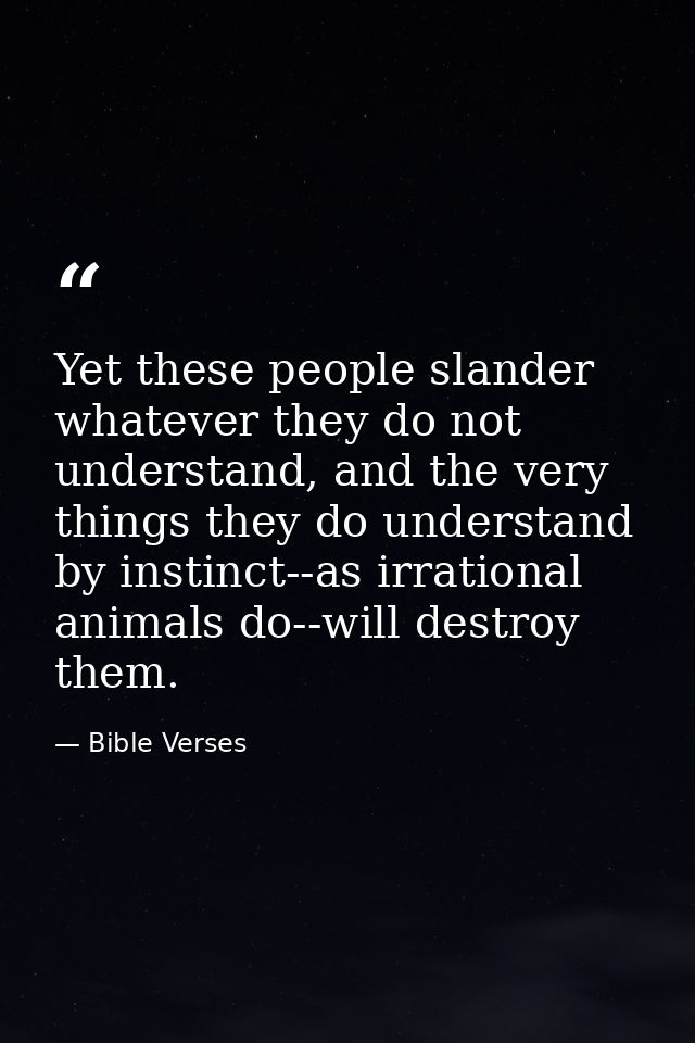 Yet these people slander whatever they do not understand, and the very things they do understand by instinct--as irratio — Bible Verses