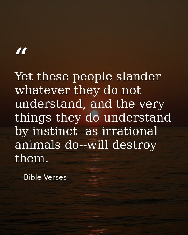 Yet these people slander whatever they do not understand, and the very things they do understand by instinct--as irratio — Bible Verses