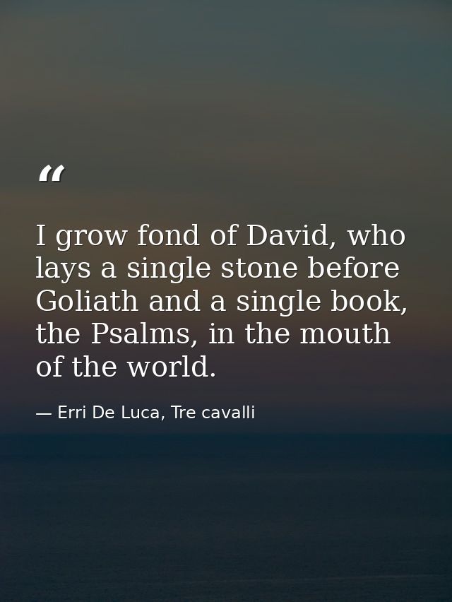 I grow fond of David, who lays a single stone before Goliath and a single book, the Psalms, in the mouth of the world. — Erri De Luca, Tre cavalli