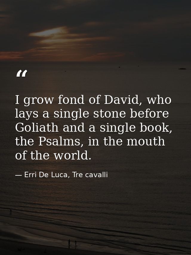 I grow fond of David, who lays a single stone before Goliath and a single book, the Psalms, in the mouth of the world. — Erri De Luca, Tre cavalli