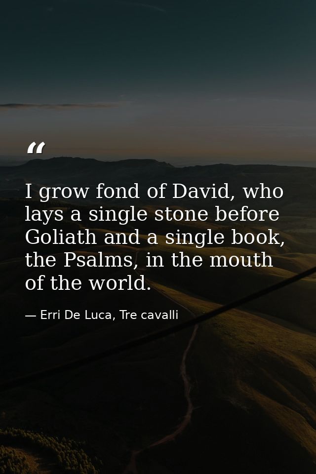 I grow fond of David, who lays a single stone before Goliath and a single book, the Psalms, in the mouth of the world. — Erri De Luca, Tre cavalli