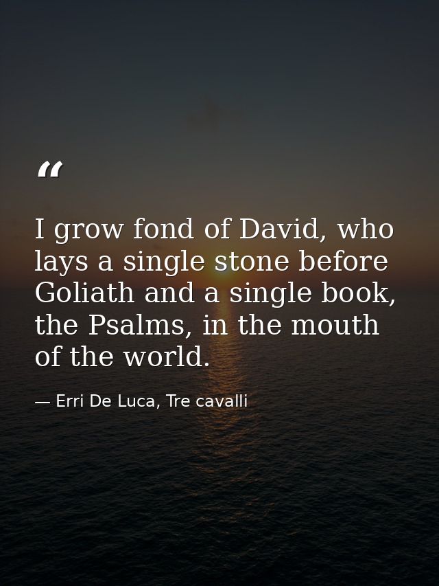 I grow fond of David, who lays a single stone before Goliath and a single book, the Psalms, in the mouth of the world. — Erri De Luca, Tre cavalli
