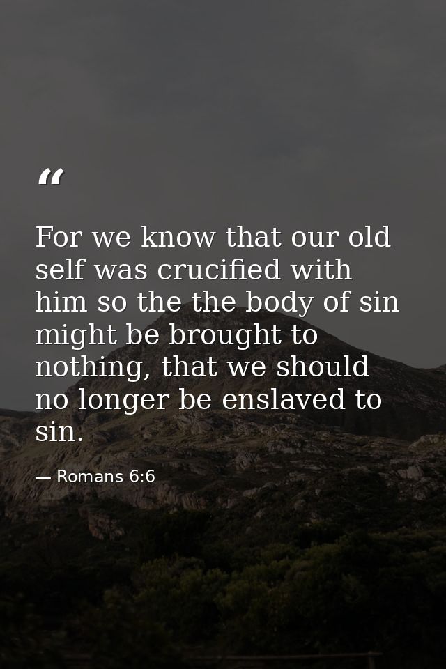 For we know that our old self was crucified with him so the the body of sin might be brought to nothing, that we should  — Romans 6:6