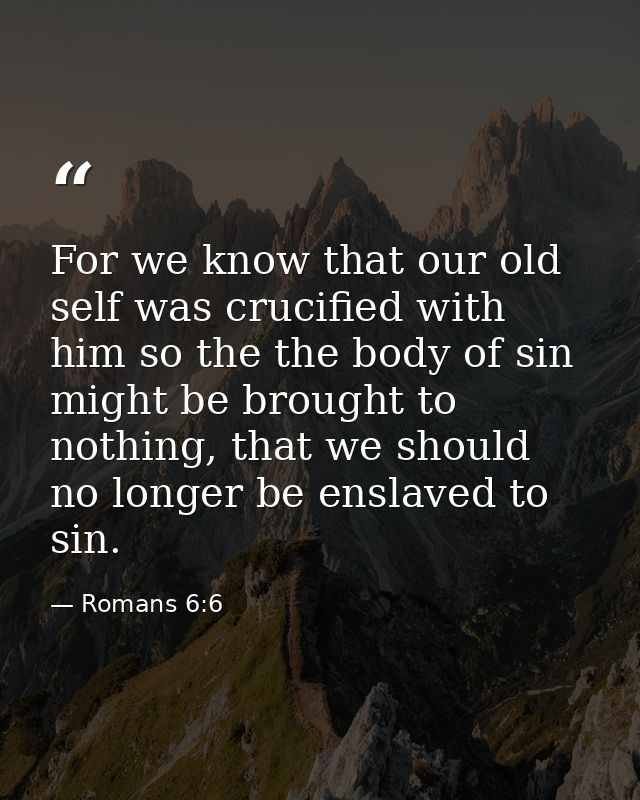 For we know that our old self was crucified with him so the the body of sin might be brought to nothing, that we should  — Romans 6:6