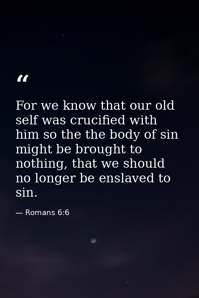 For we know that our old self was crucified with him so the the body of sin might be brought to nothing, that we should  — Romans 6:6